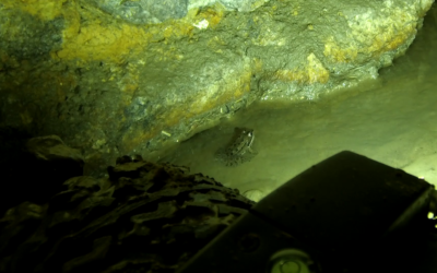 Inspection par drone respectueuse de l’environnement